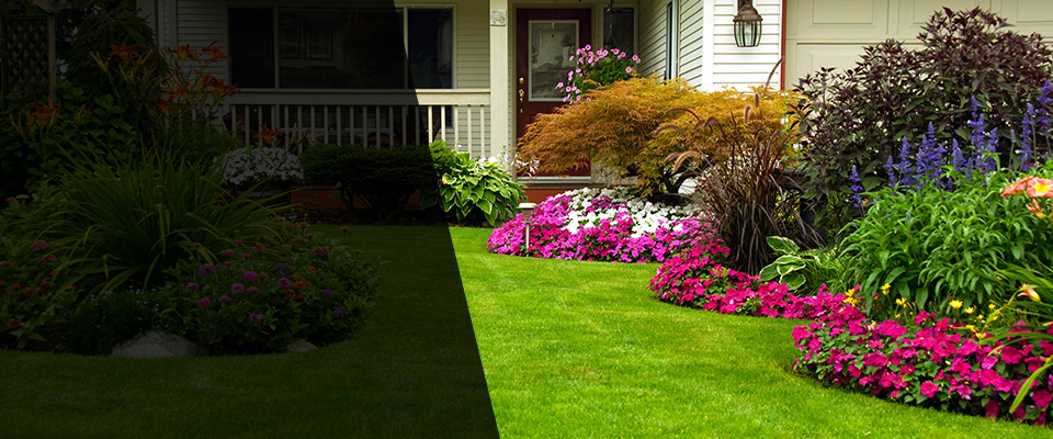 Rifle Landscapers